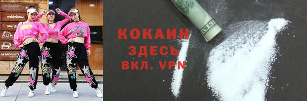 крисы Алексин