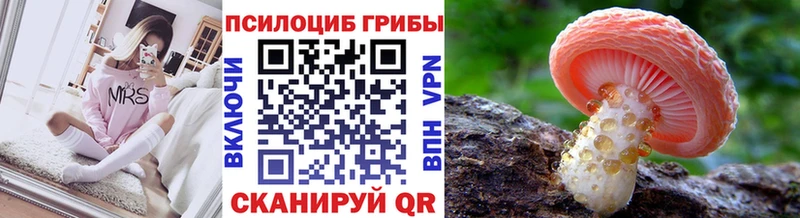 блэк спрут ССЫЛКА  наркошоп  Заполярный  Псилоцибиновые грибы Cubensis 